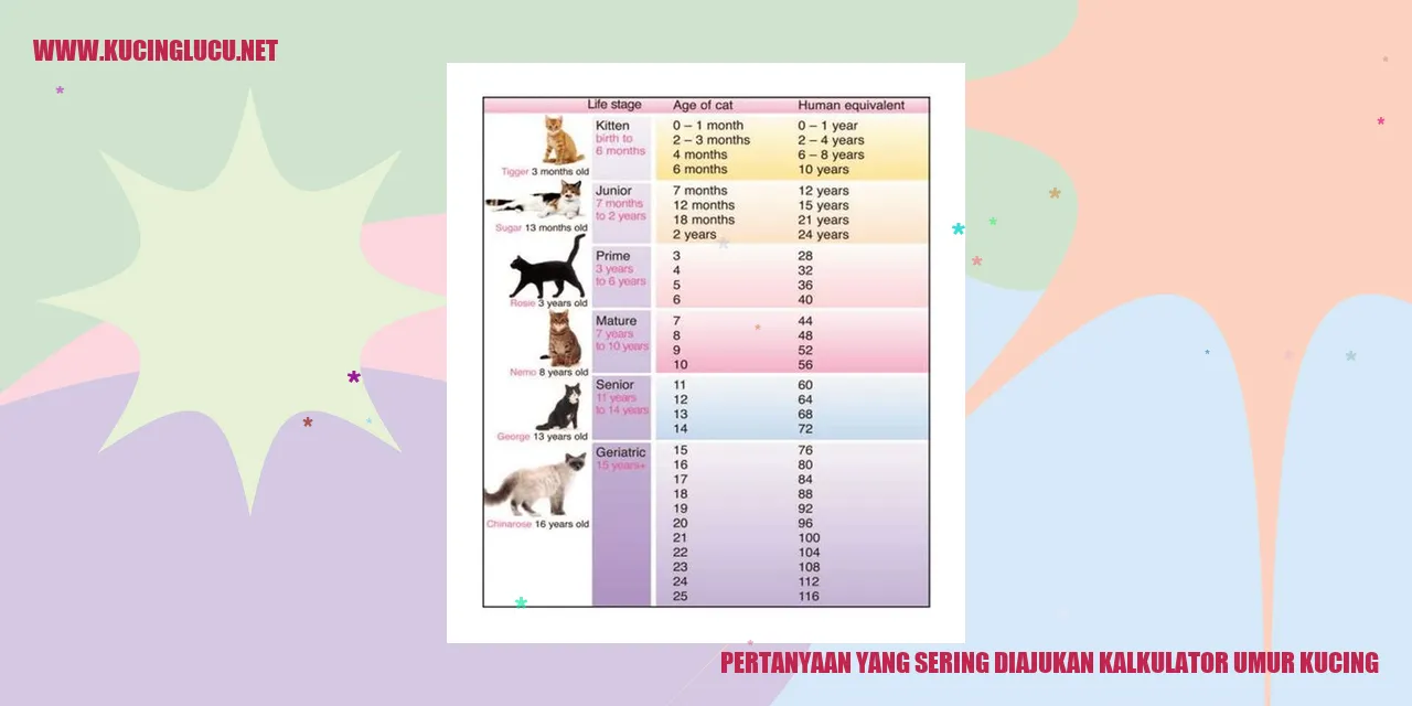 Pertanyaan yang Sering Diajukan kalkulator umur kucing