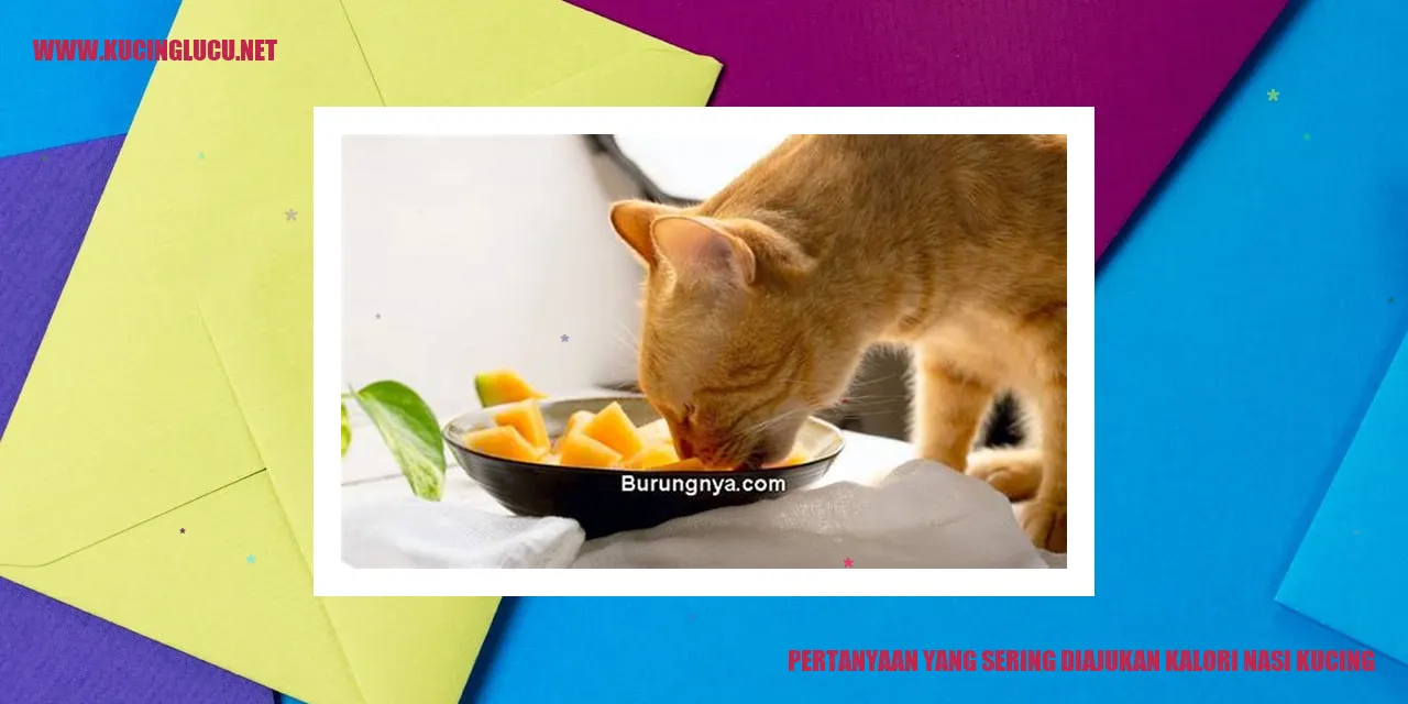 Ilustrasi Nasi Kucing