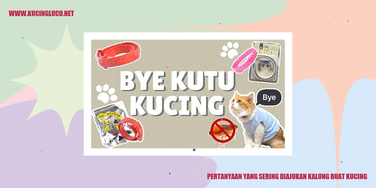 Kalung untuk kucing