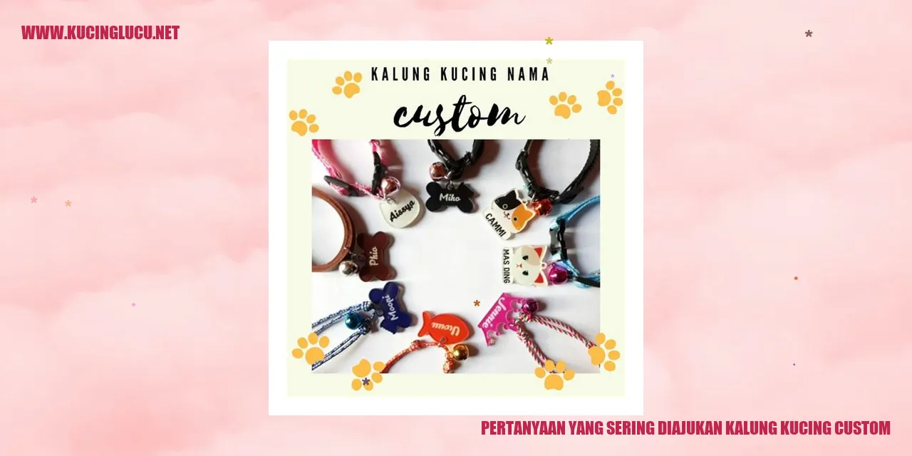 Kalung Kucing Custom
