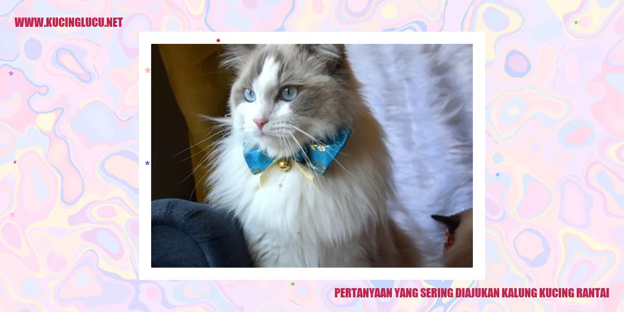 Pertanyaan yang Sering Diajukan kalung kucing rantai
