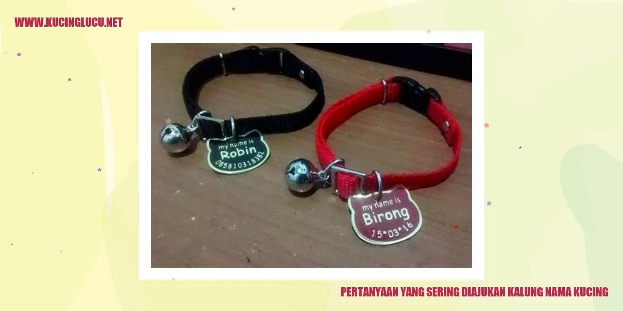 Pertanyaan yang Sering Diajukan kalung nama kucing