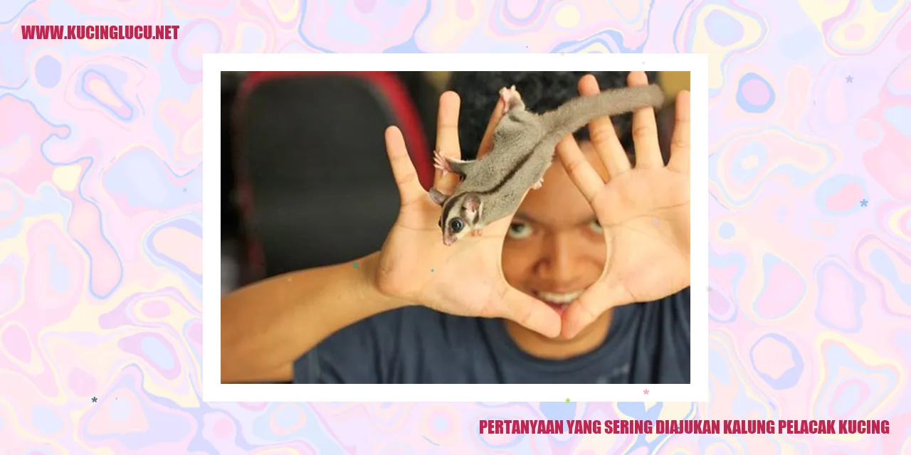 Kalung Pelacak Kucing