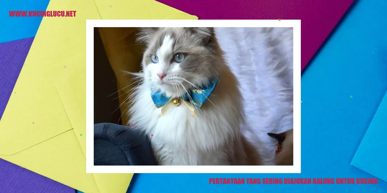 Kalung untuk Kucing