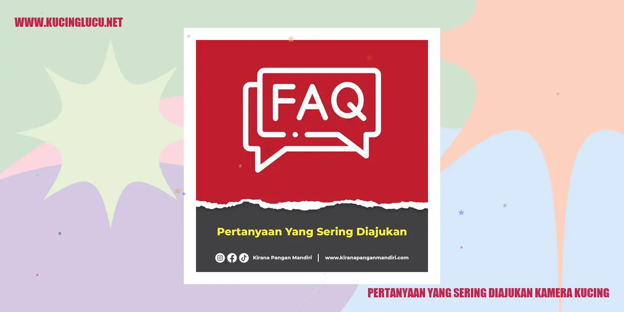 Ilustrasi Kamera Kucing