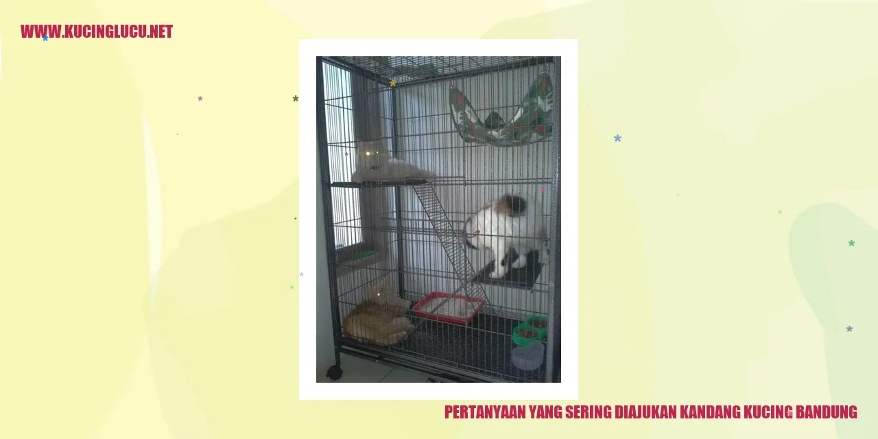 Foto Kucing dalam Kandang