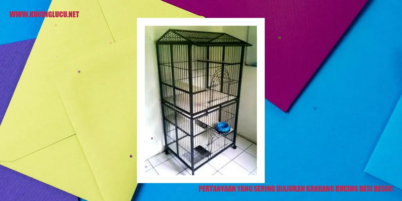 Kandang Kucing Besar