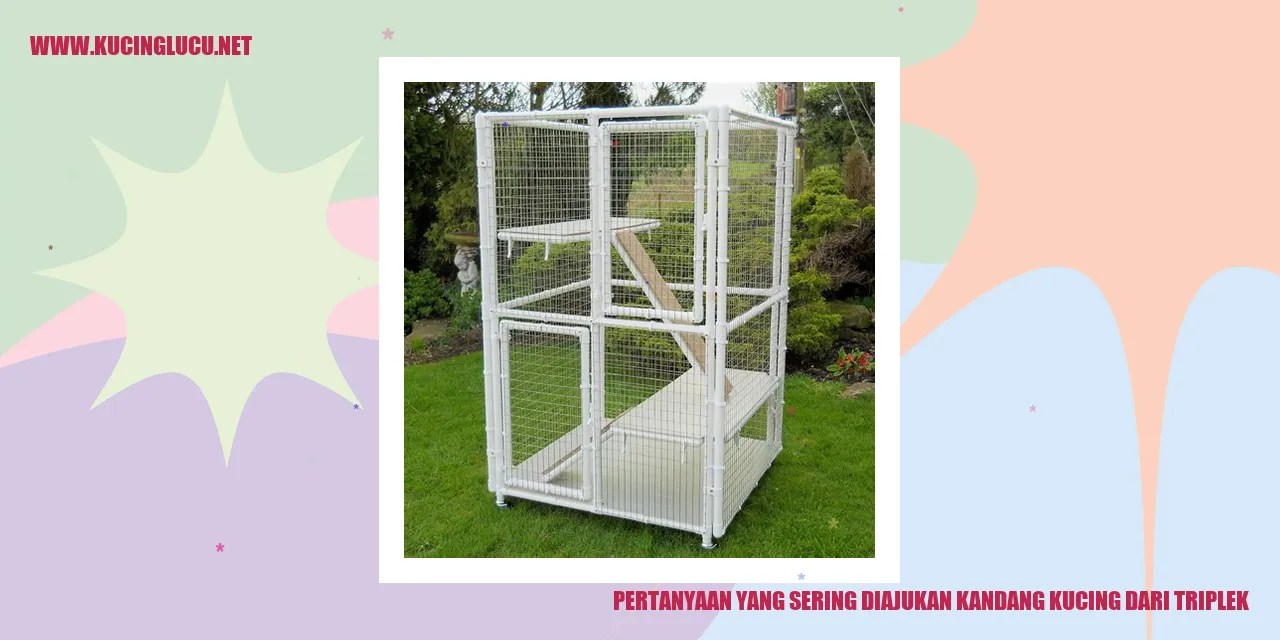Kandang Kucing dari Triplek