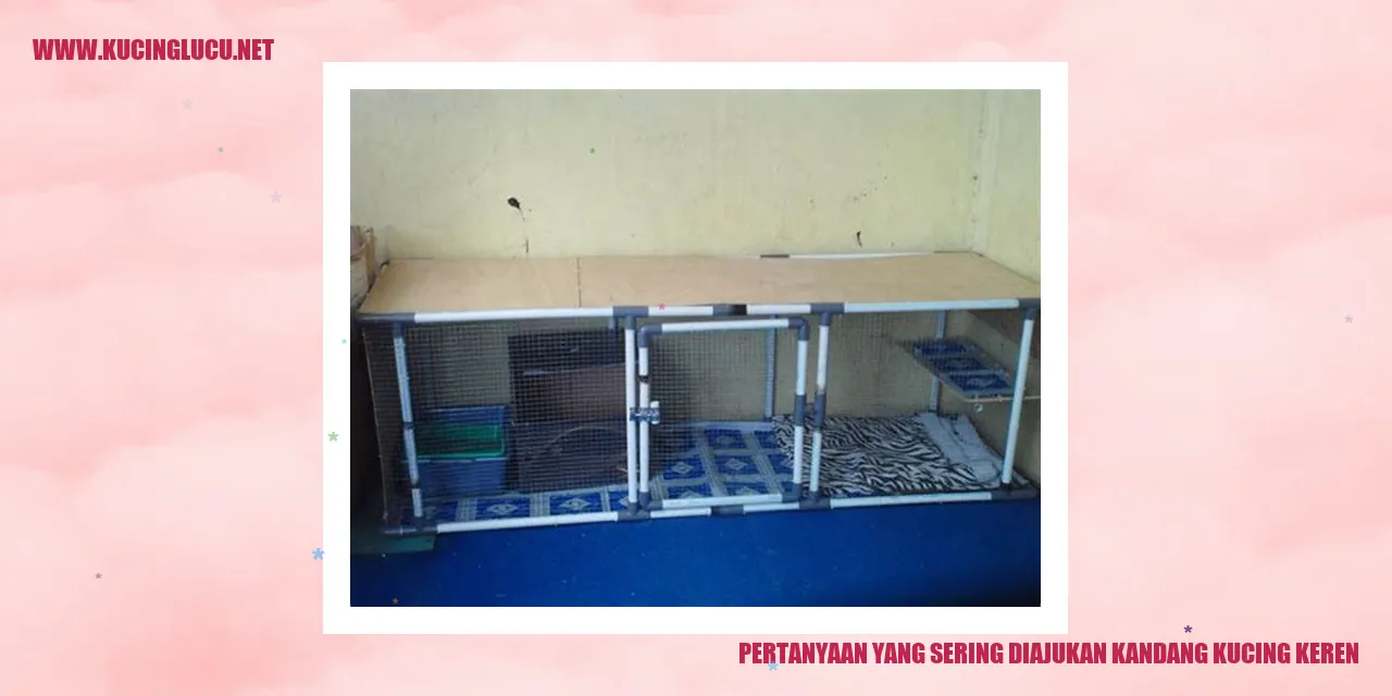 Kandang Kucing Keren