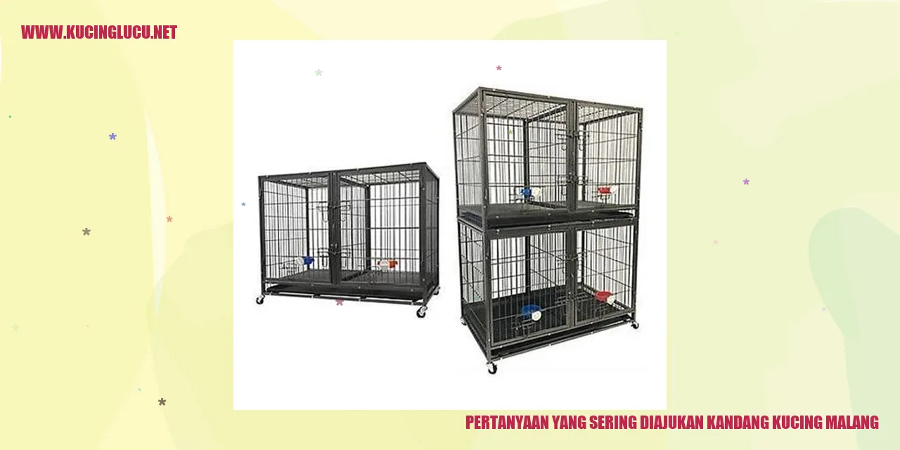 Kandang Kucing Malang