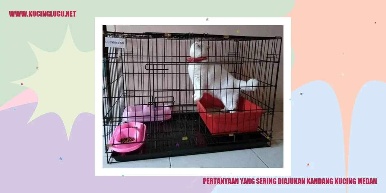 Kandang Kucing Medan