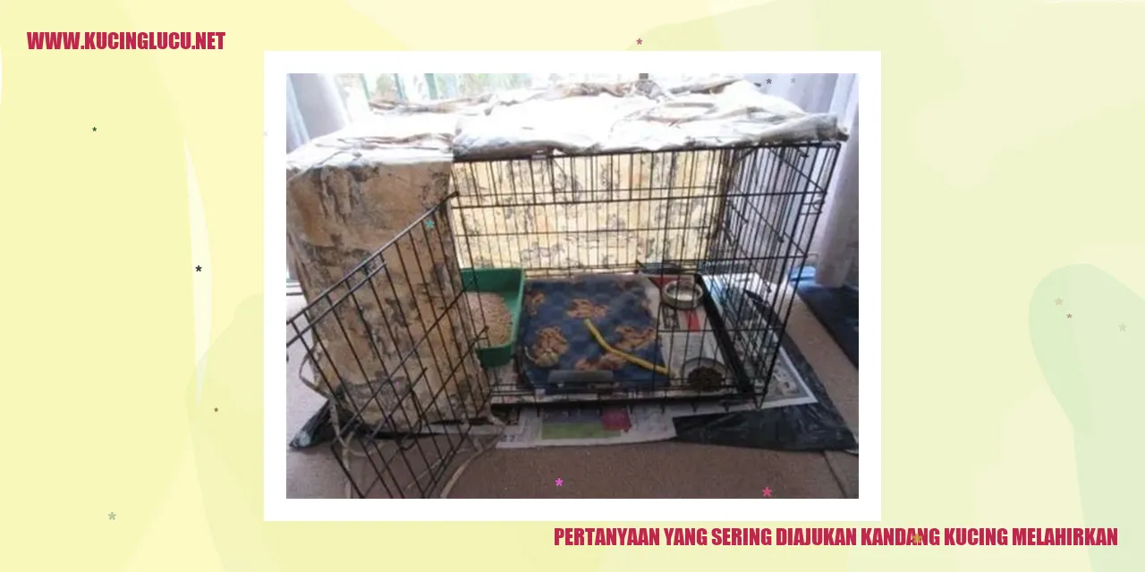 Kucing melahirkan