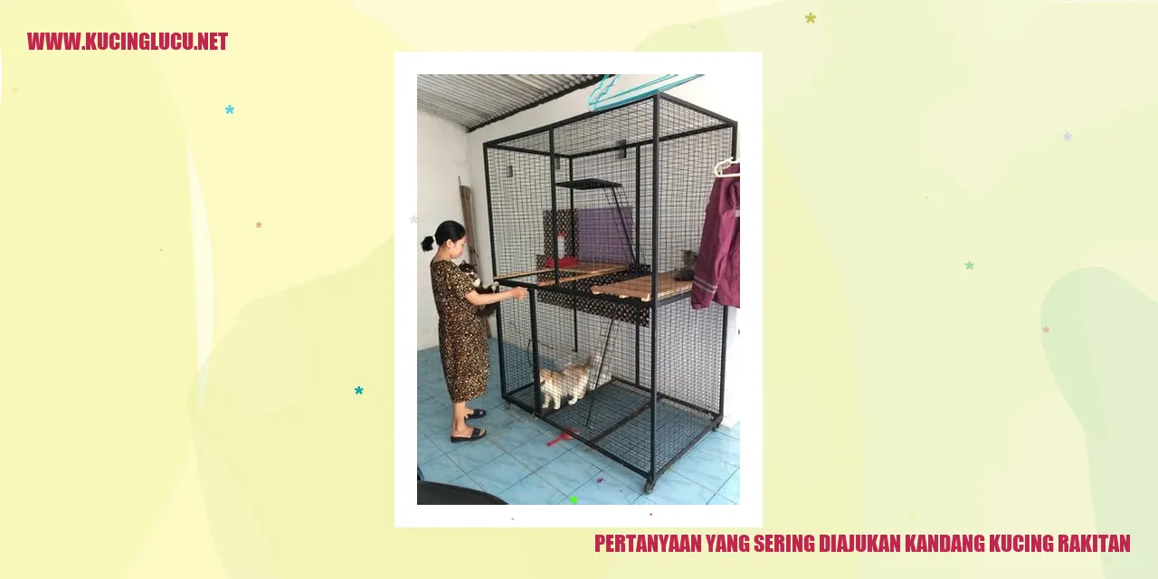 Kandang Kucing Buatan Sendiri