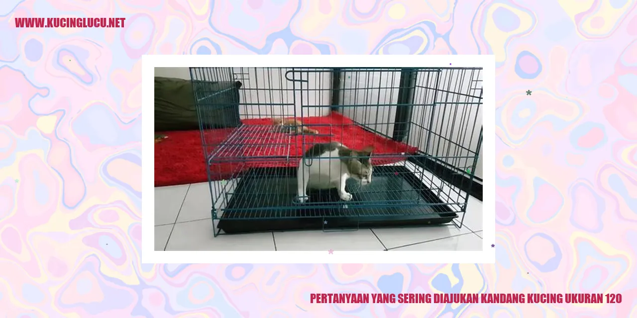 Kandang Kucing