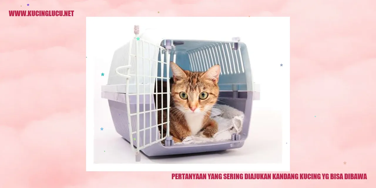 Kandang Kucing yang Bisa Dibawa