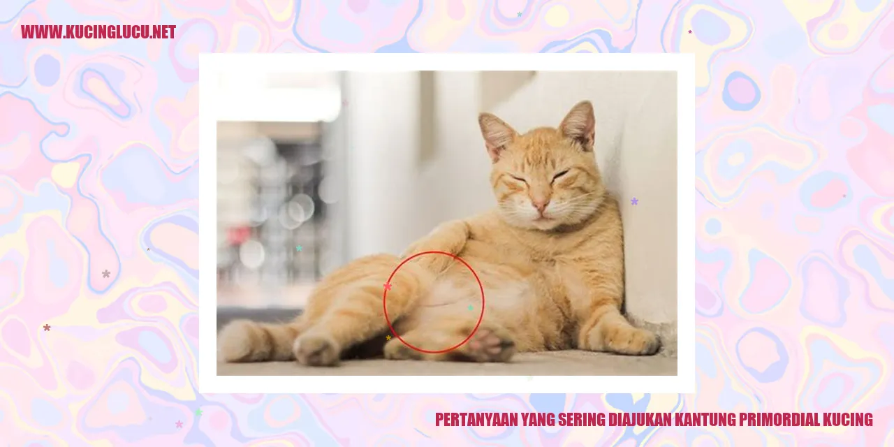 Kantung Primordial Kucing