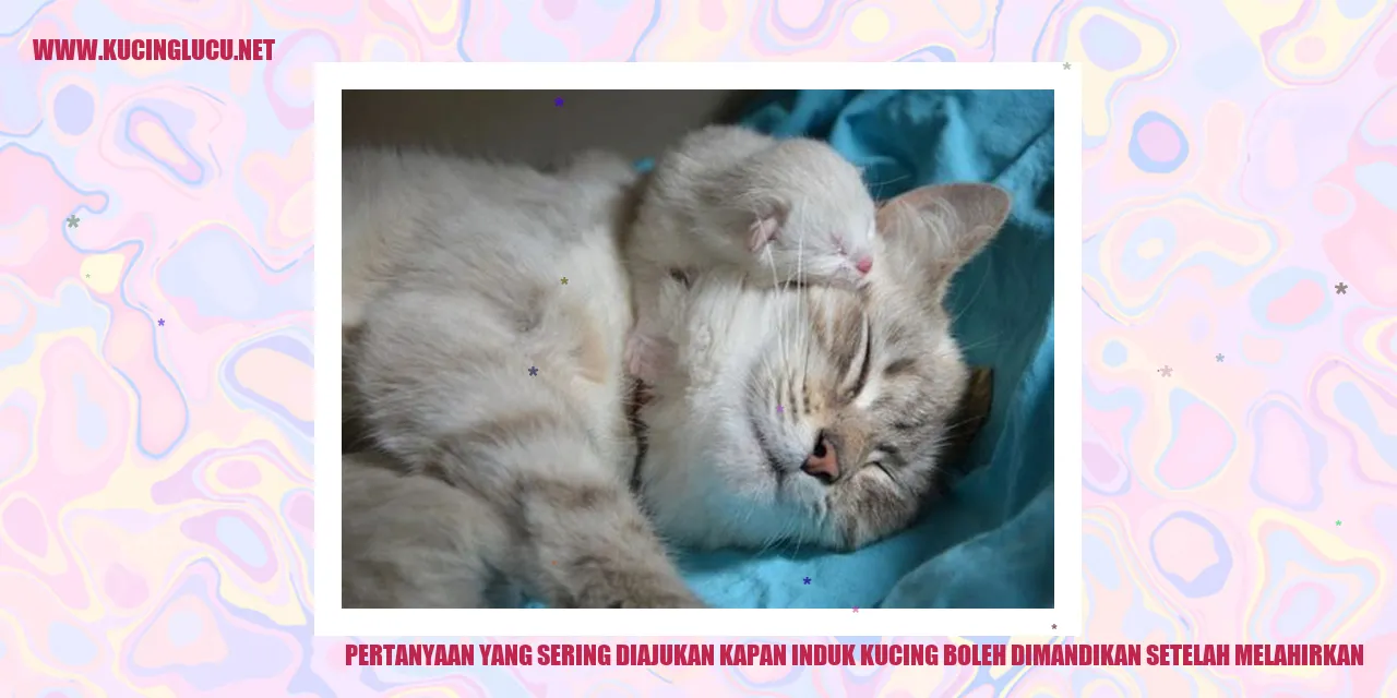 Foto Induk Kucing dengan Anak-anaknya