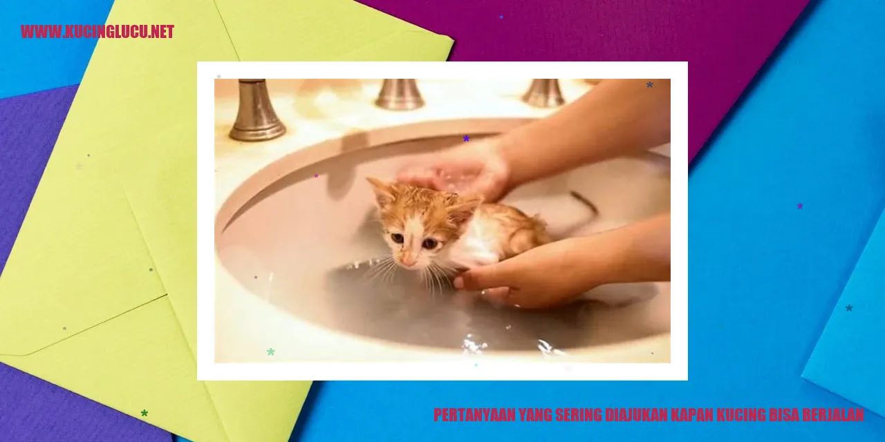 Kucing Berjalan