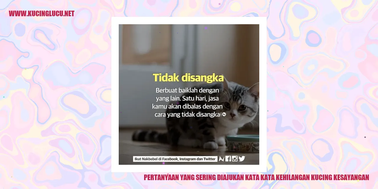 Gambar: Pertanyaan yang Sering Diajukan tentang Kehilangan Kucing Kesayangan