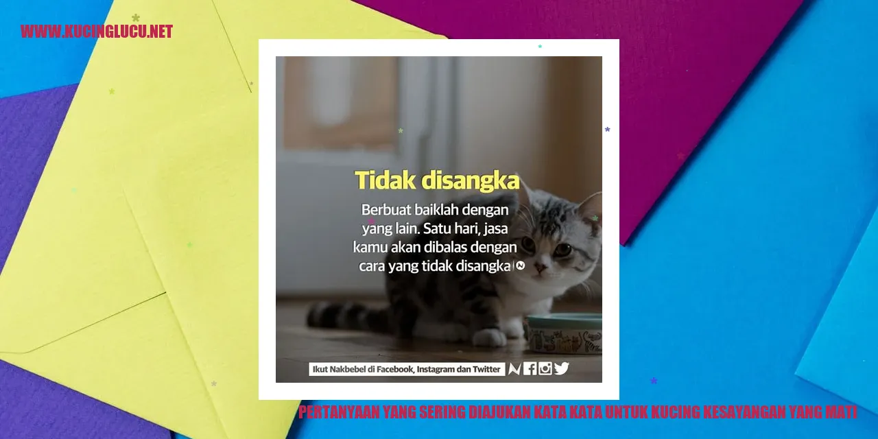 Kucing Kesayangan yang Meninggal