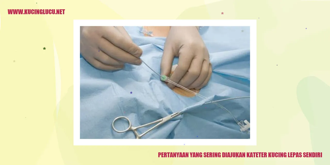 Pertanyaan yang Sering Diajukan kateter kucing lepas sendiri