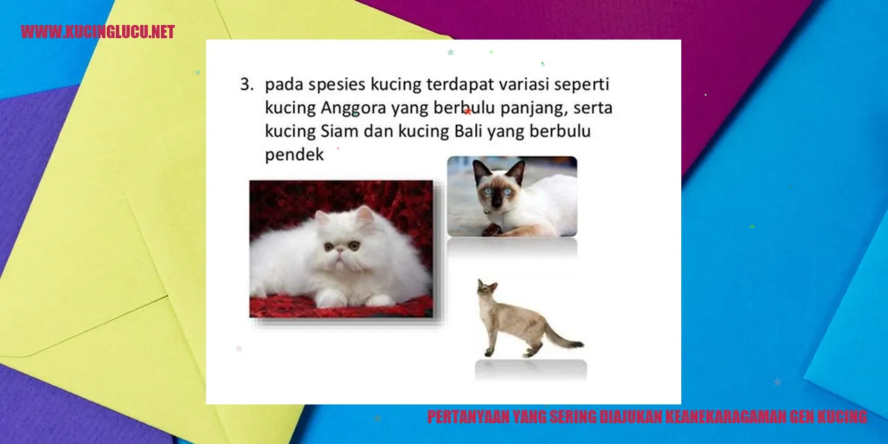 Ilustrasi kucing
