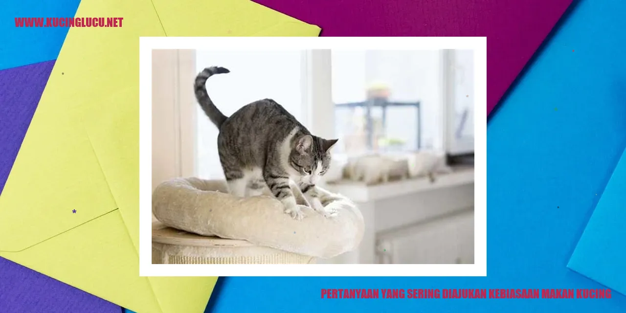 Kebiasaan Makan Kucing