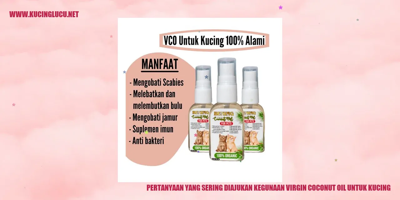 Manfaat Minyak Kelapa untuk Kucing