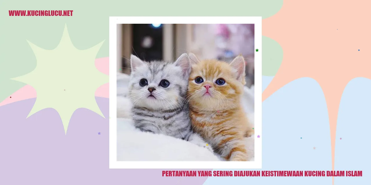 Keistimewaan Kucing dalam Islam