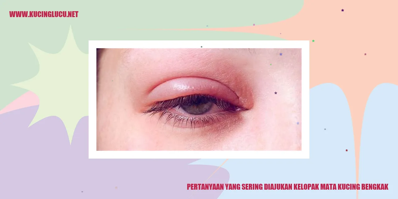 Gambar kucing dengan kelopak mata bengkak