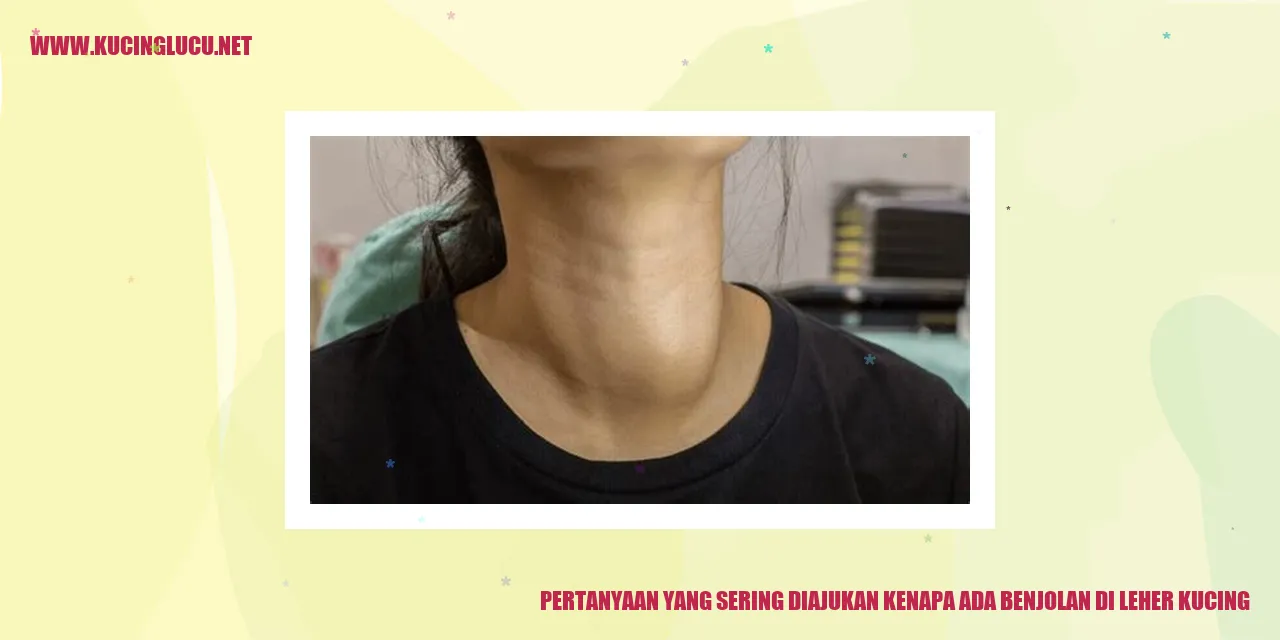 Gambar Benjolan di Leher Kucing