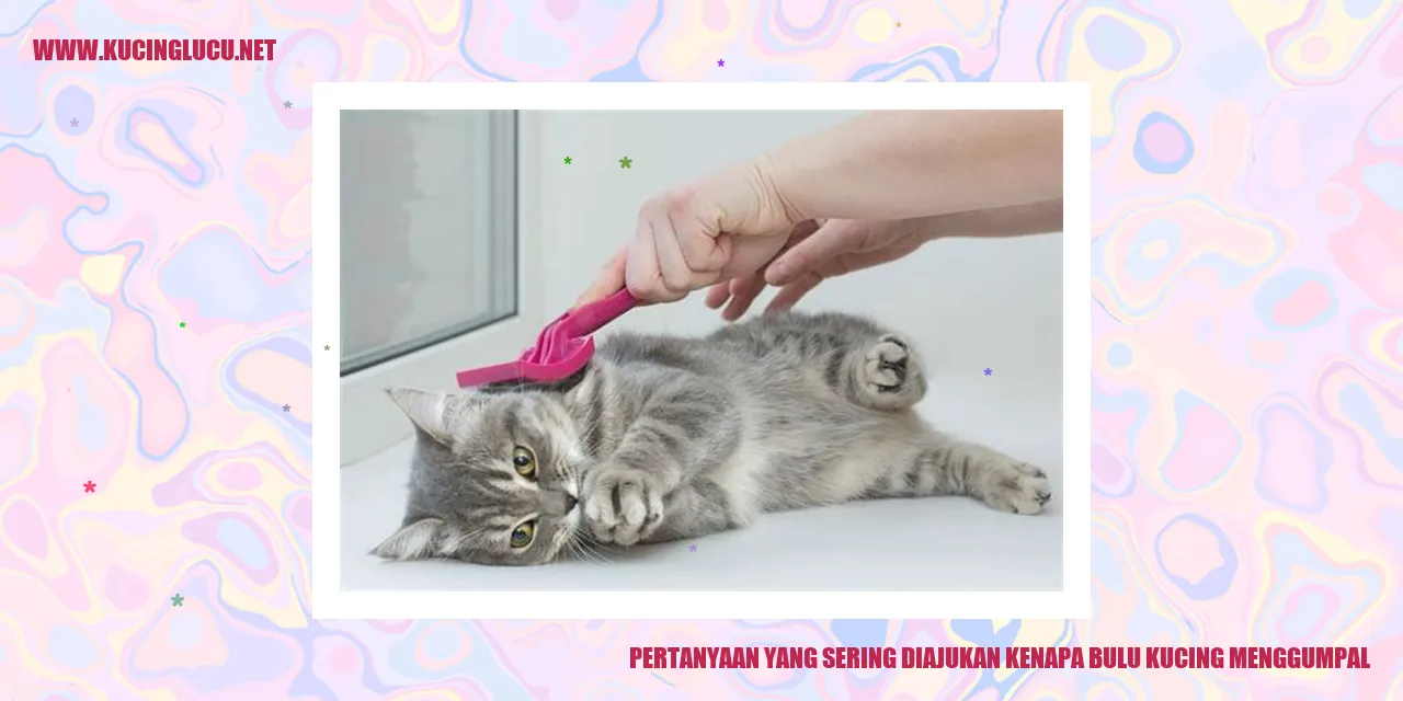 Ilustrasi bulu kucing menggumpal