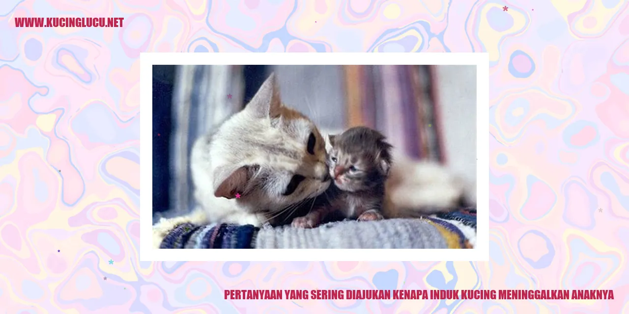 Kucing Meninggalkan Anaknya