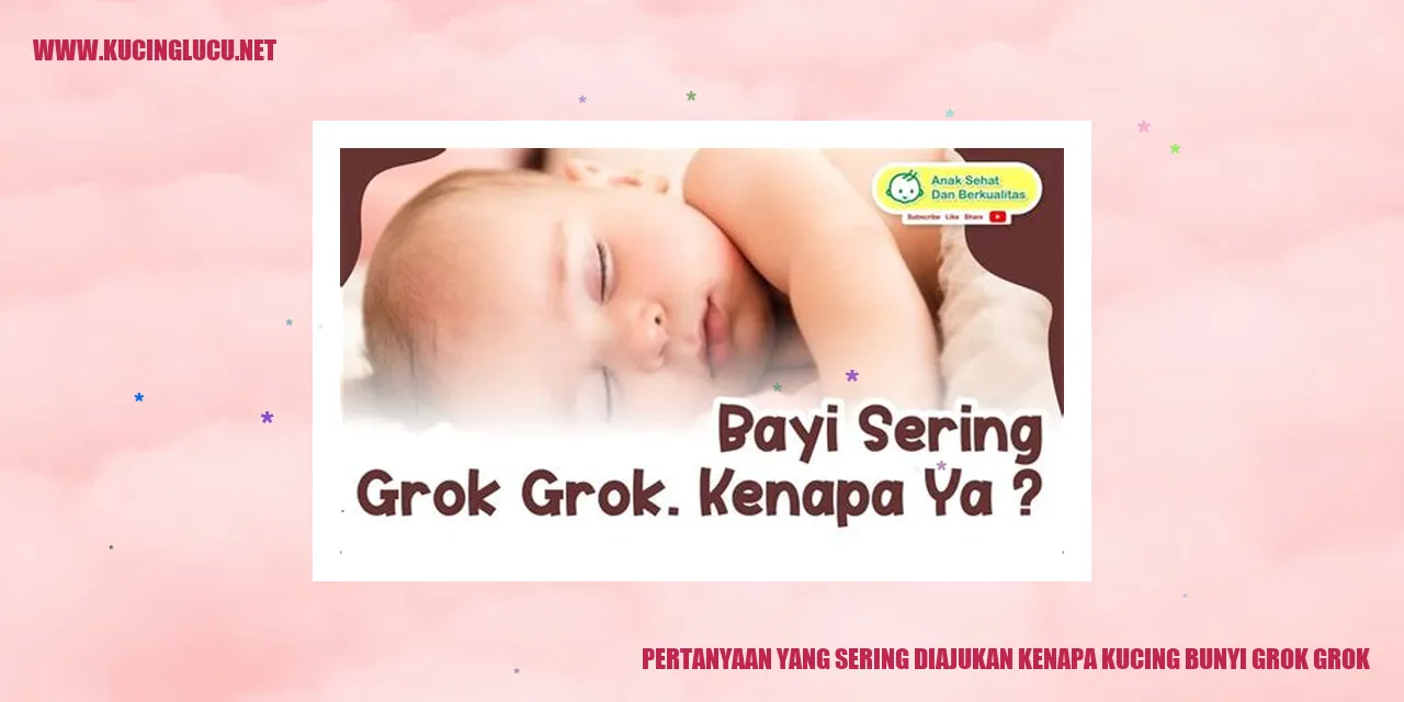 Gambar kucing bunyi grok grok