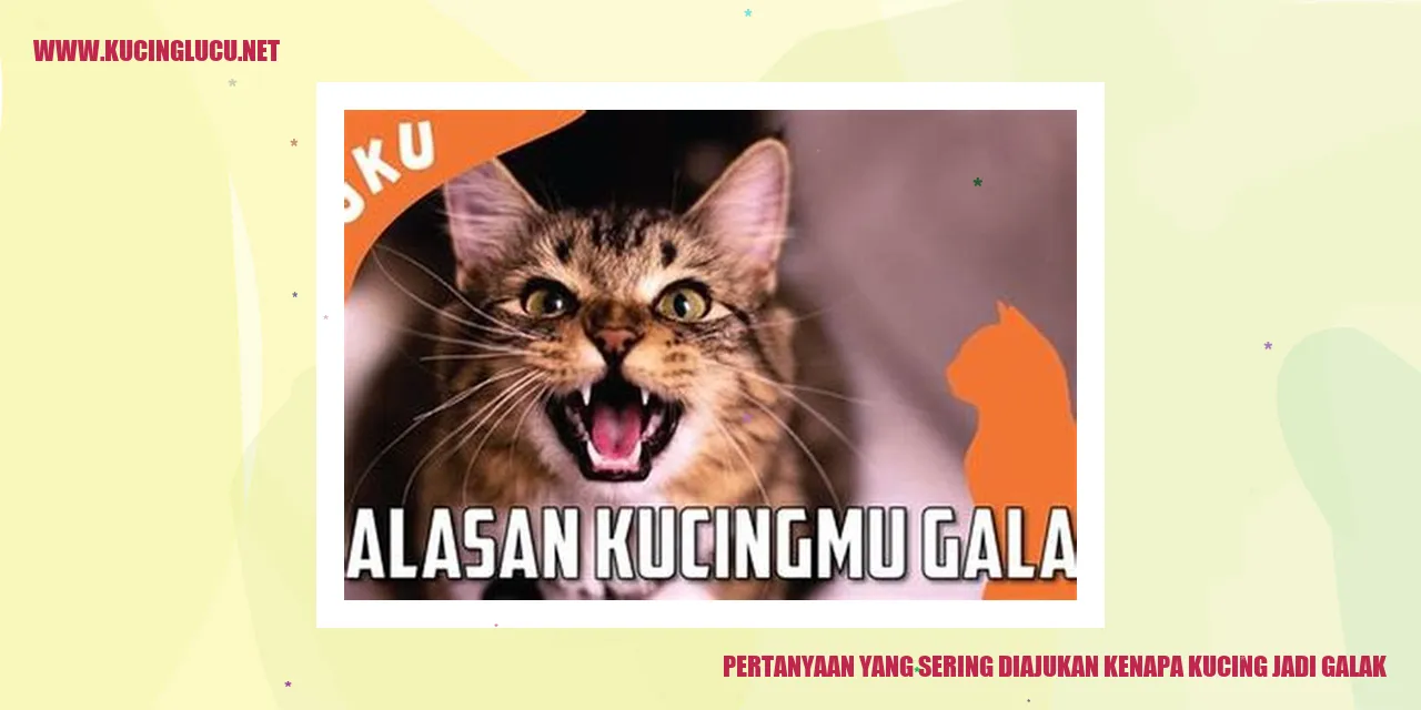 gambar kucing galak