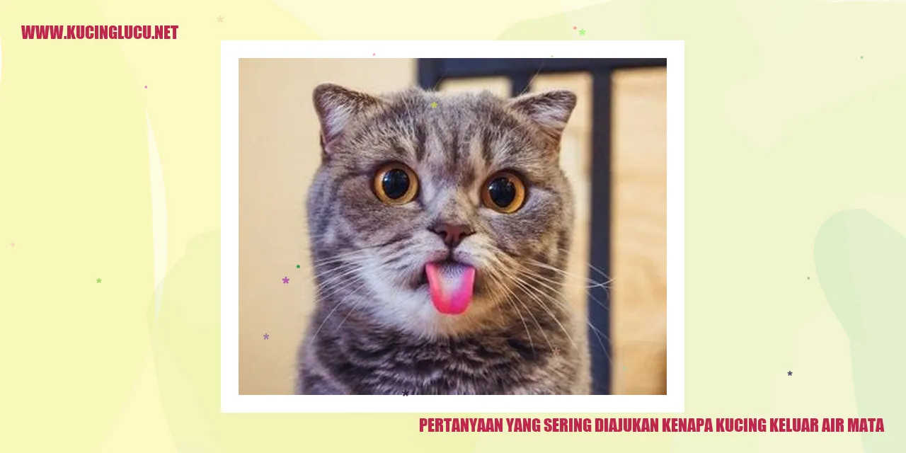Gambar Kucing Mengeluarkan Air Mata