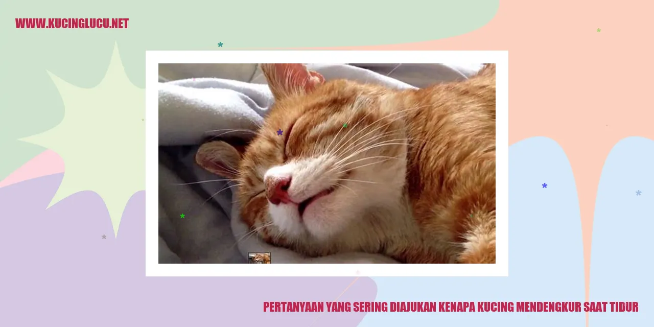 Gambar kucing sedang tidur