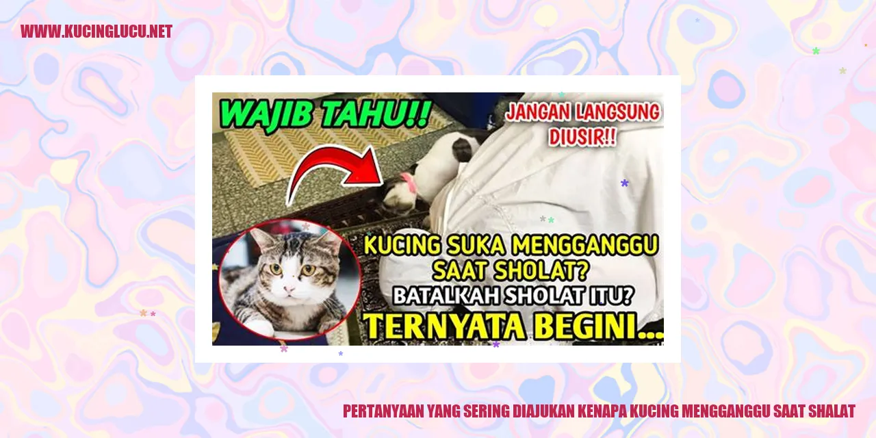 Gambar Kucing Mengganggu Saat Shalat