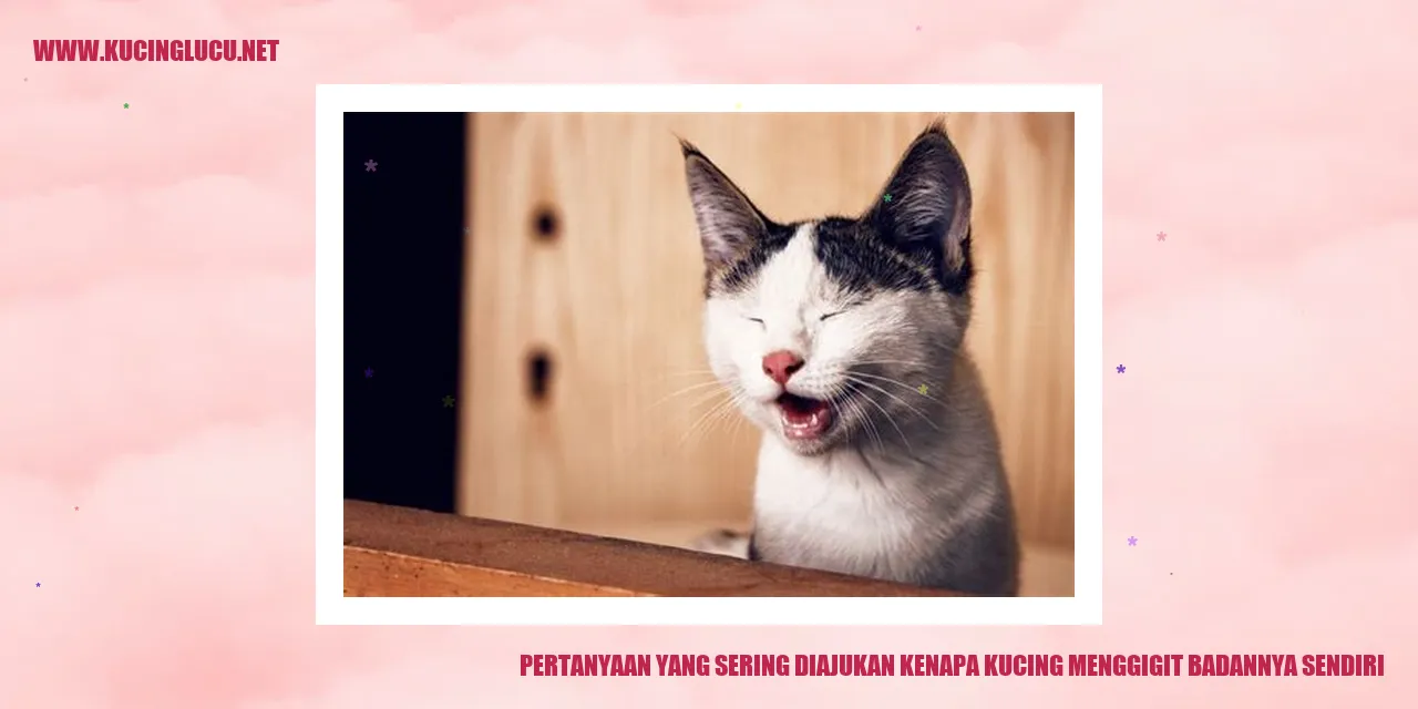 Kucing Menggigit Badannya Sendiri