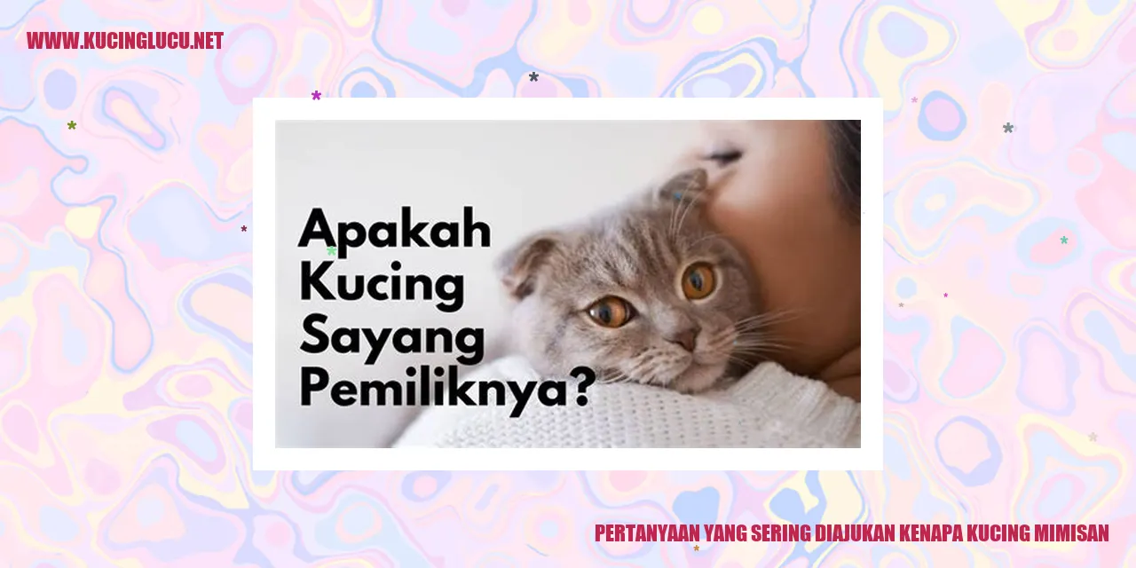 Gambar Kucing Mengalami Mimisan
