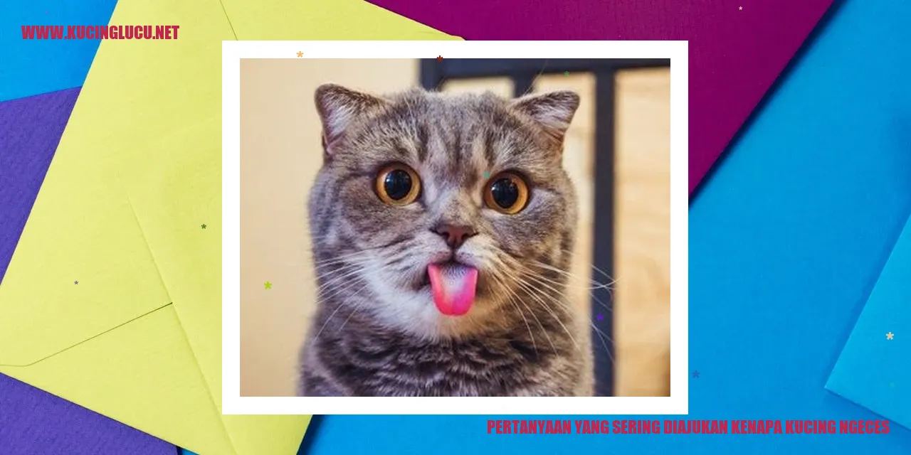 Gambar Kucing Ngeces