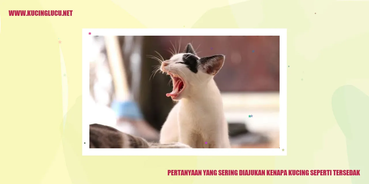 Ilustrasi Menarik Kucing