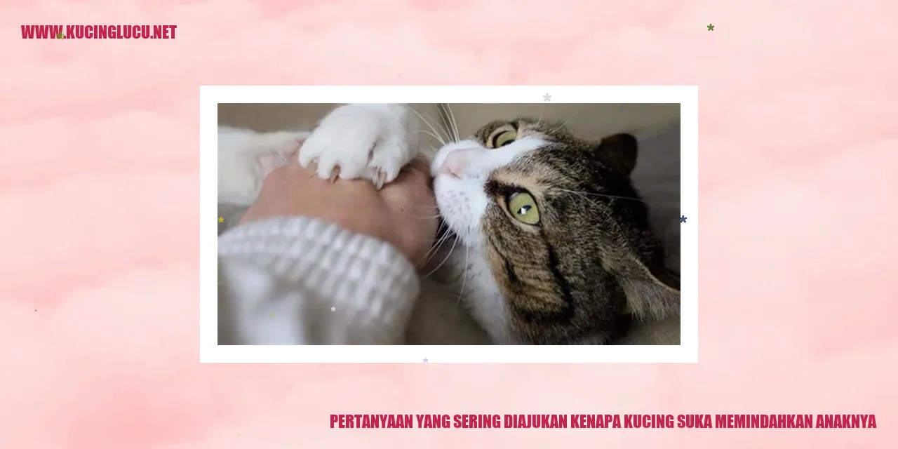 Kucing dan anaknya