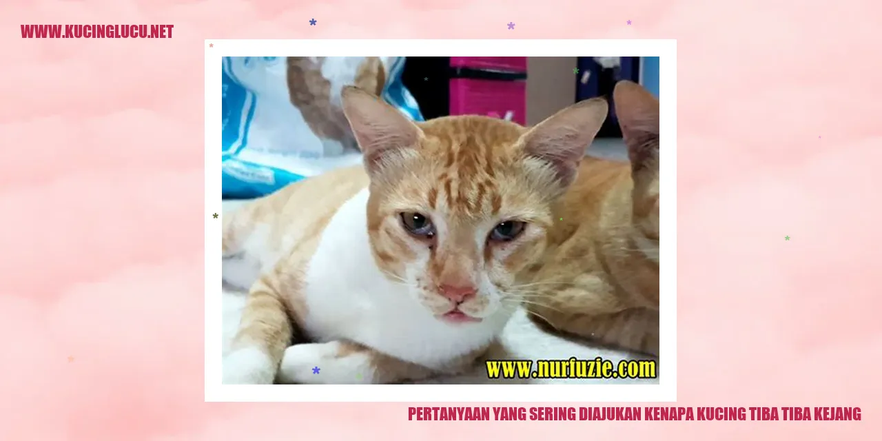 kucing kejang