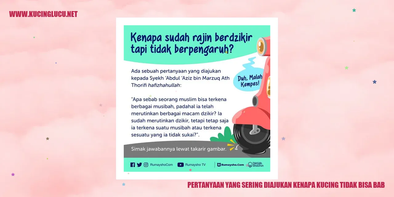 Gambar kucing