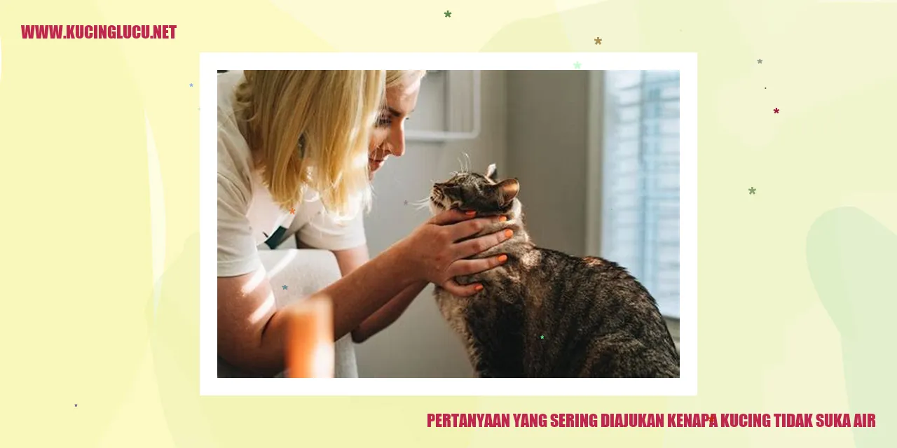 Gambar Kucing