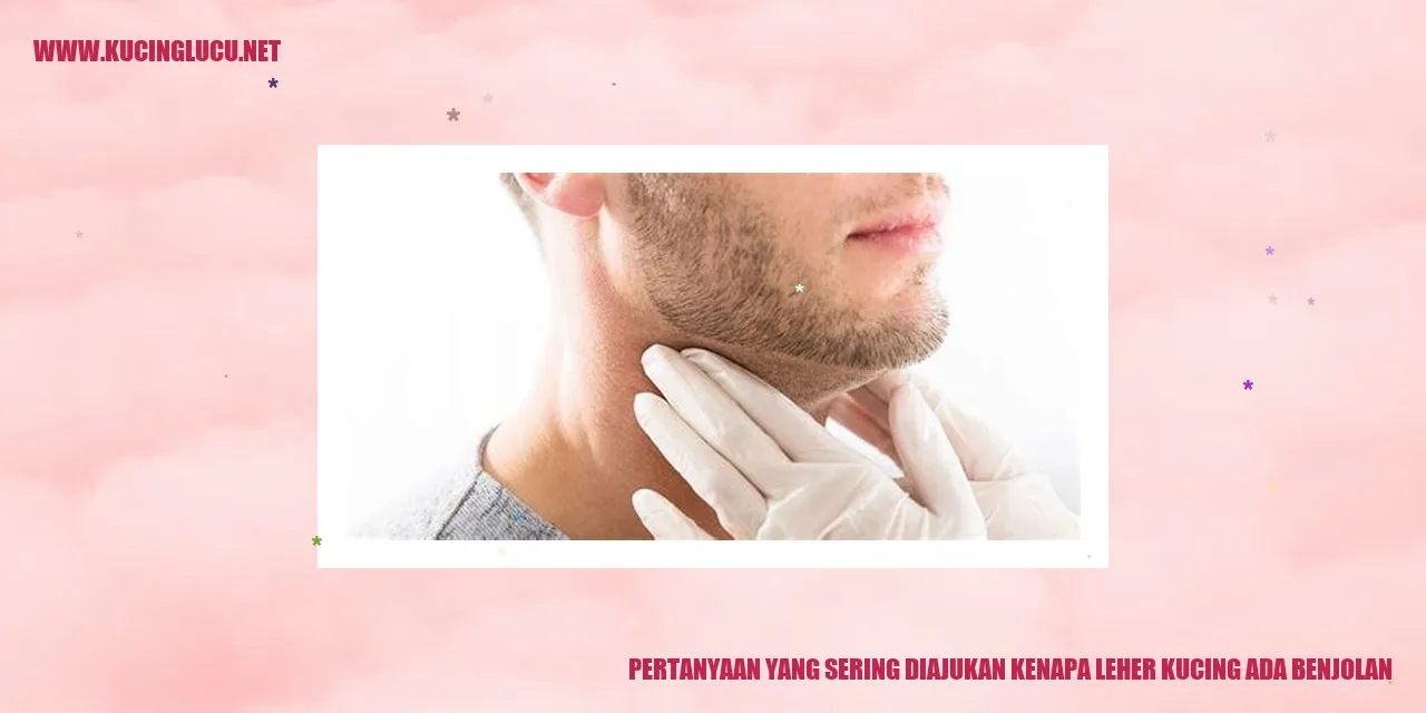 Leher kucing dengan benjolan