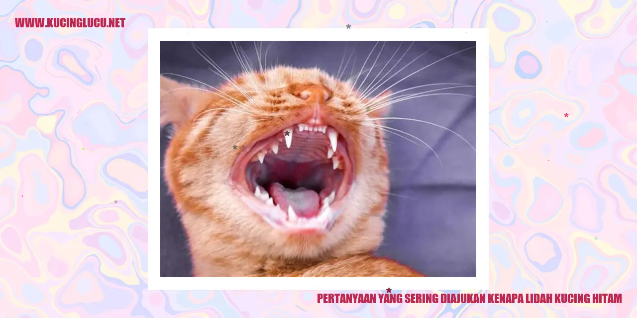 Kucing dengan lidah hitam