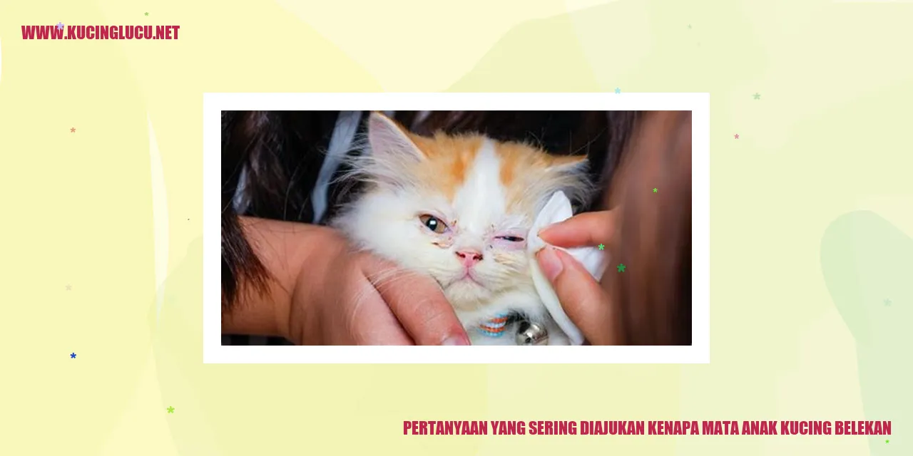 Mata Anak Kucing Belekan