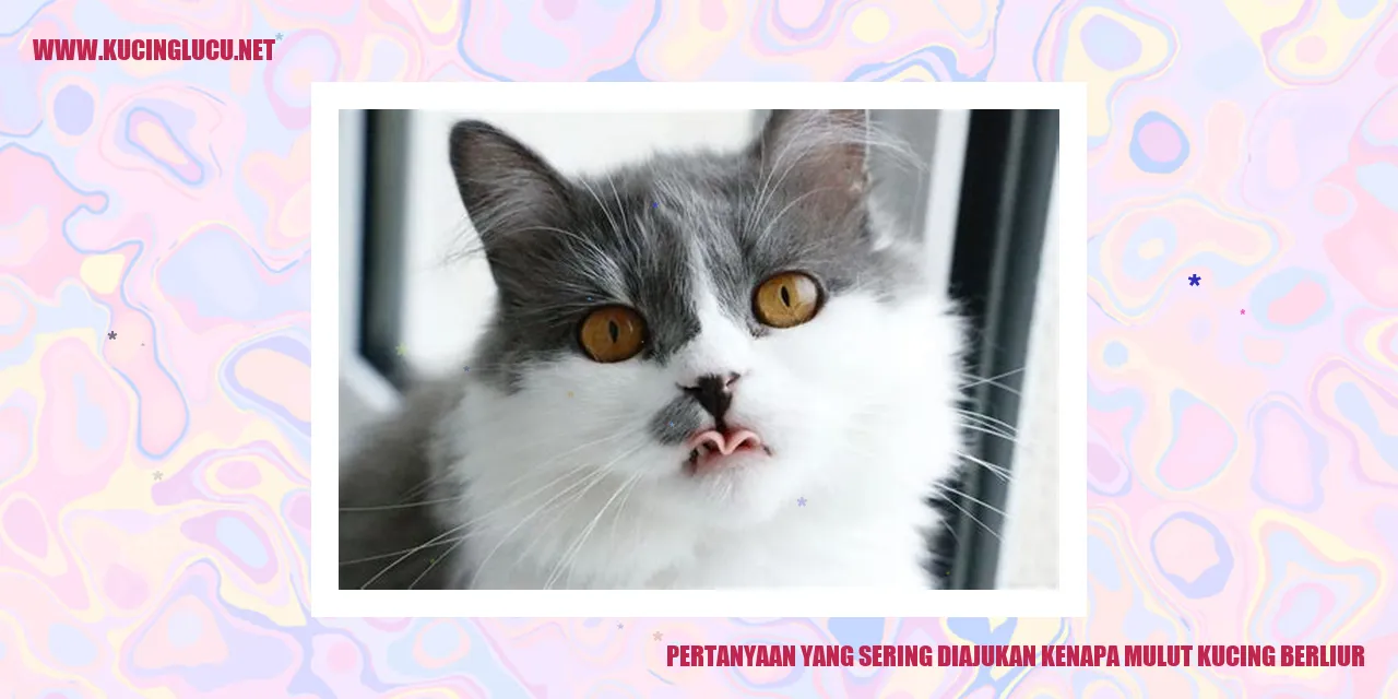 Kenapa Mulut Kucing Berliur